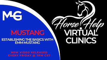 Establishing The Basics With EMM Mustang | The Horse Guru - Michael Gascon