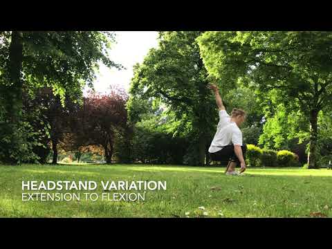 MACACO VARIATIONS