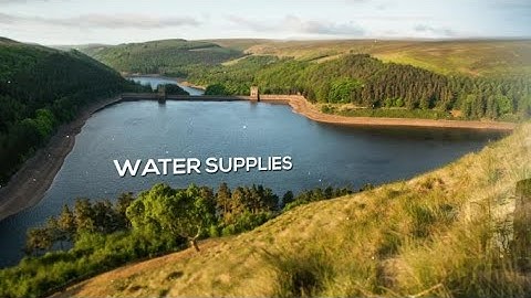 Princeton Innovation 2022: Bioremediation of "forever chemicals" (PFAS), Peter Jaffé