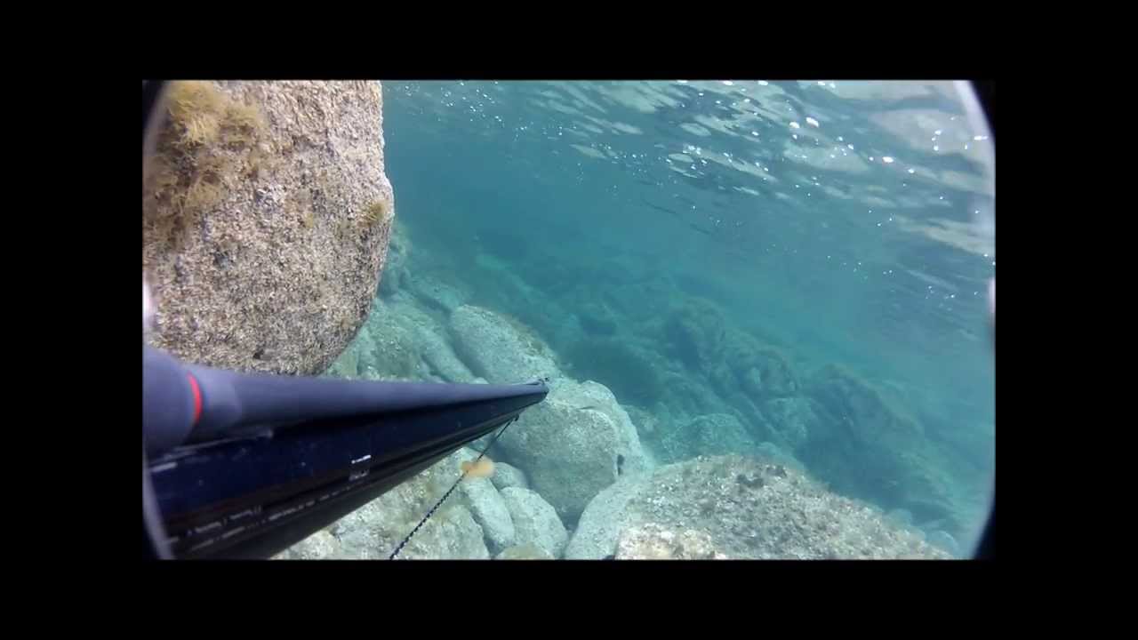 Mérouville, site de plongée : Îles Lavezzi, Corse du Sud