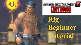 Rig Beginner Guide Tutorial (DOA5LR)