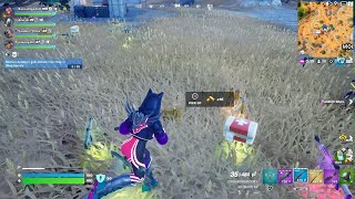 Celebrity Fortnite cheater uses lag switch Profile