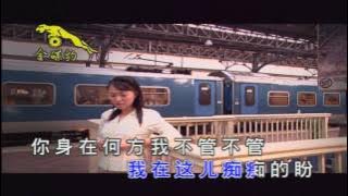 卓依婷 (Timi Zhuo) - 离 别 的 车 站 (The Departing Railway Station)