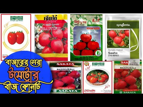 ভিডিও: টমেটো নোট। অংশ ২