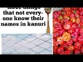 Three Things That Not Everyone Know Their Names In Kanuri Awaa Done Ndumai Sunza Nozヌ掣ima Learnkan Three Things That Not Everyone Know Their Names In Kanuri Awaa Done Ndumai Sunza Nozヌ掣ima Learnkan