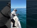 ヒラメ釣り中に…何これ？【北海道・噴火湾釣り】