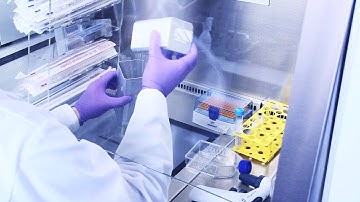 Merlin Bench: Model-based experimentation at the lab bench.