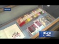 千代田図書館　美しい本がいっぱい