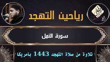 تلاوة عطرة لسورة النمل كاملة بصوت الشيخ مصطفى أبو سيف