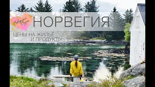 ⁣Норвегия #3 / Цены на еду и жильё / Где жить в Норвегии