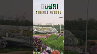 O Nakhre Wali Gulabi Sadi, Miracle Garden🇦🇪♥️🔥 #dubai #miraclegarden #dubailife #dubaicity