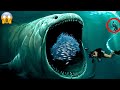 The world of underwater life  facts rix