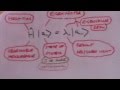 Quantum Mechanics Concepts: 2 Photon Polarisation (continued)