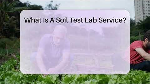 What Is A Soil Test Lab Service? - The Plant Enthusiast
