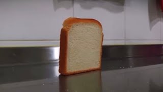 Bread Edit (Bread falling over video isn’t mine but edits is🫠) #edit