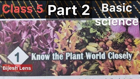 Class 5, Basic science, chapter 1, Part 2, Know the plant world closely.