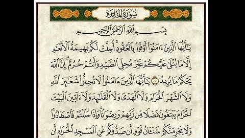 سورة المائدة _ الشيخ زكرياء الرقيبي