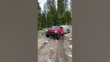 Thumbnail of Bronco X Antishanty Running Wild
