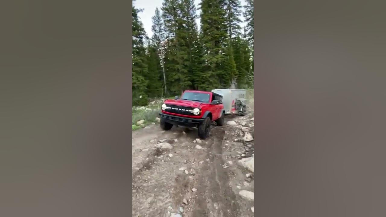 Bronco X Antishanty Running Wild