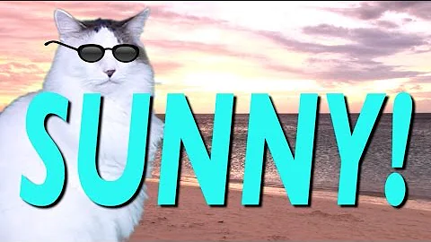 HAPPY BIRTHDAY SUNNY! - EPIC CAT Happy Birthday Song