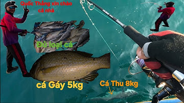 Câu cá Thu đầu mùa,tuy ít mà vui. Jigging cá biển xa bờ P1...@