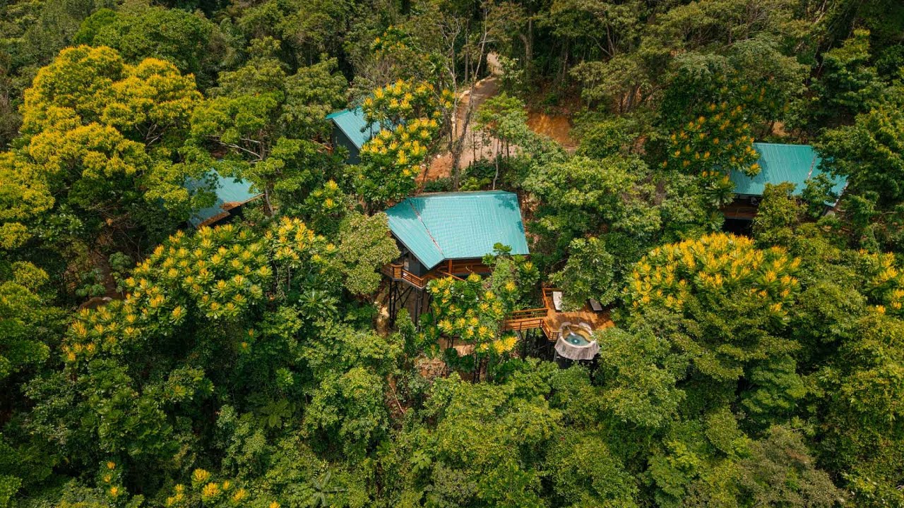 Welcome to one of the most immersive rainforest experiences in Costa Rica