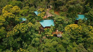 Welcome to one of the most immersive rainforest experiences in Costa Rica