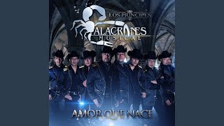 Video thumbnail of "Alacranes Musical - Amor Que Nace"