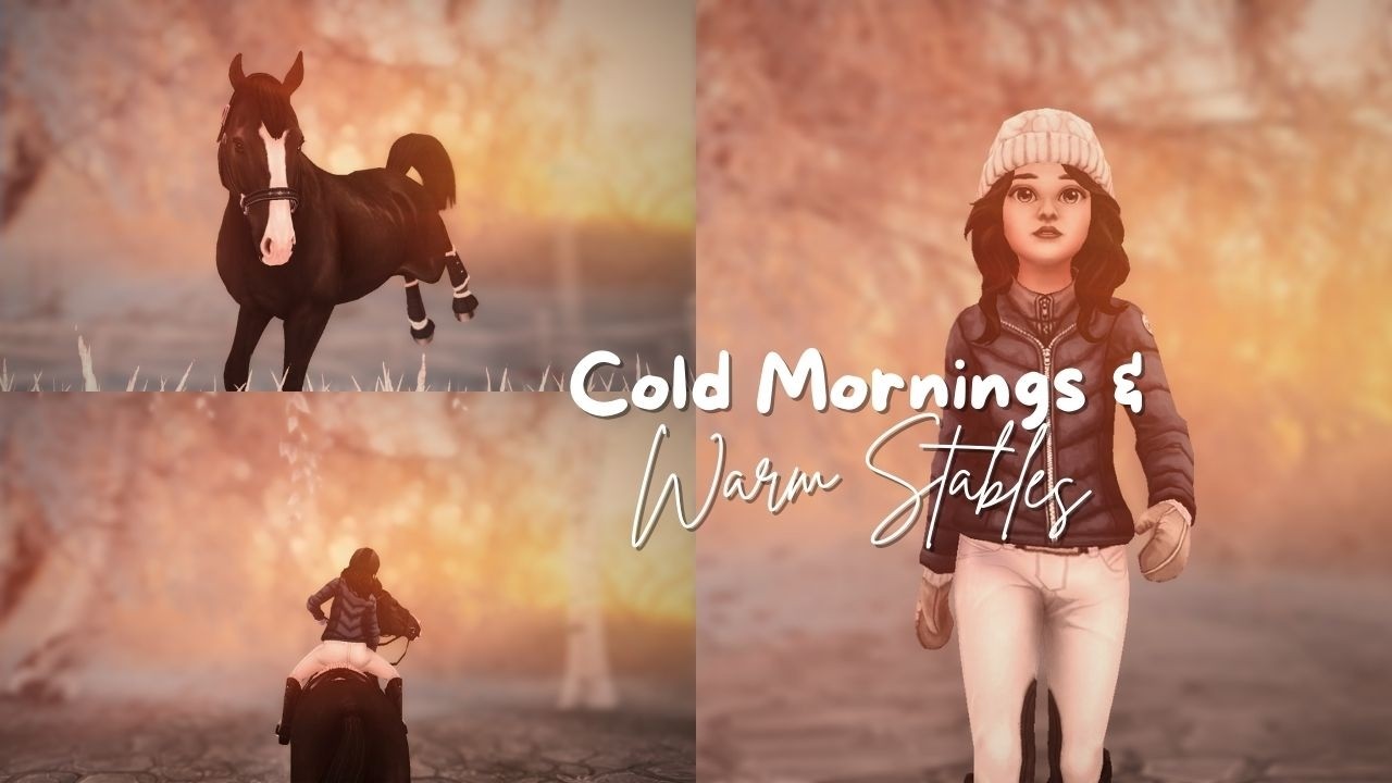 SSO RRP │Cold mornings & Warm Stables │Jumping Lesson