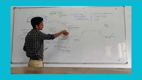 Cross section of canal in Fully Cutting