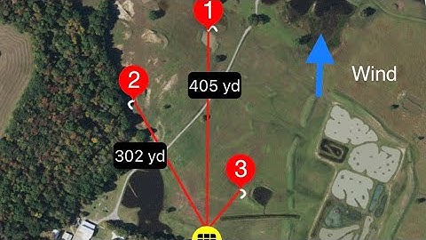 “AFC Maggie” 1st Series in the Open at Metro Alliance Field Trial