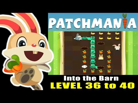 Patchmania - A Puzzle About Bunny Revenge Level 36 to 40 ios gameplay (Into the Barn)