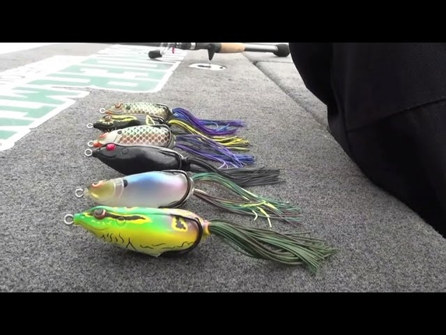 What color frog should you throw? Dean Rojas breaks down selecting