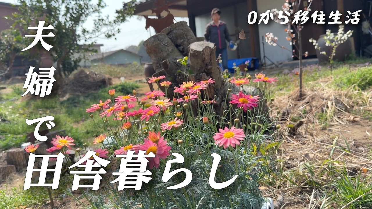 【古民家田舎暮らし】楽しい？大変？移住後田舎の過ごし方【移住82】