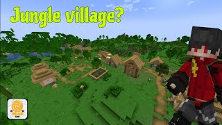 I found a UNIQUE VILLAGE in this SMP....