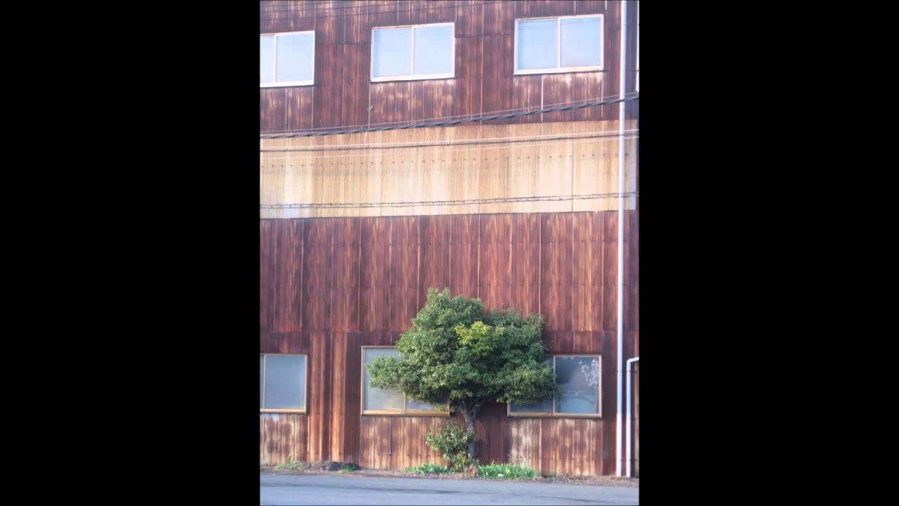 普通の夏／猿のピカロ - YouTube