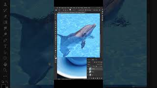 Photoshop 2025 Tips How to Create Fruit - Water Splash Effect #usmipotohoptitoty #photography