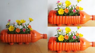 Bottle garden idea | Home garden & Dream garden 