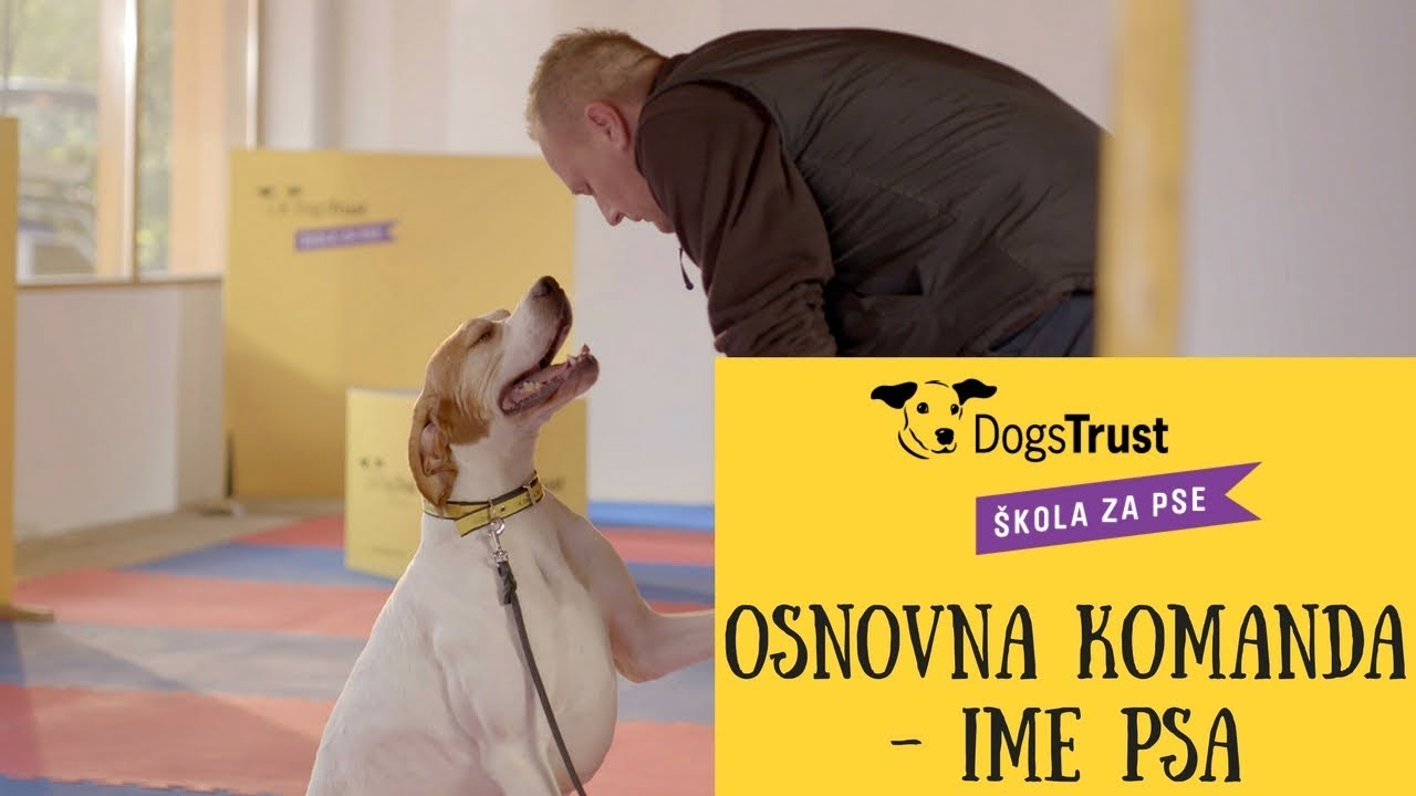 Osnovna komanda - Ime psa