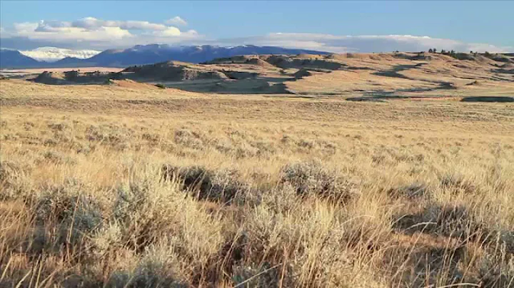 "Sage-Grouse Initiative" (2012)