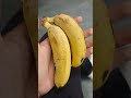 D8 30 Days BADASS TRANSFORMATION Shorts Ytshorts Fitness Fattofit Transformation NMA D8 30 Days BADASS TRANSFORMATION Shorts Ytshorts Fitness Fattofit Transformation NMA