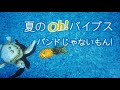 ⦅歌ってみた⦆夏のOh!バイブス / バンドじゃないもん!