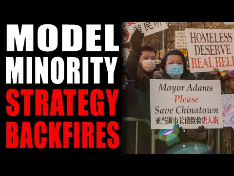 The Model Minority Strategy Backfired