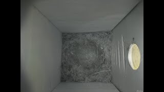 Nestbox 20180711/15:00 - 54 frames with movement