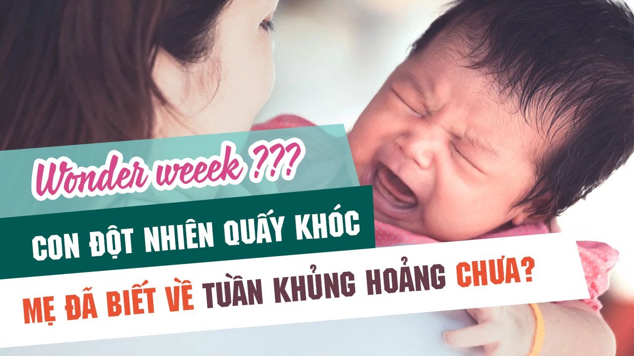 Tuần Khủng Hoảng Wonder Week Của Trẻ Từ 0 Đến 2 Tuổi L Easy Nuôi Con Nhàn Tênh