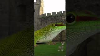 Shreks day out