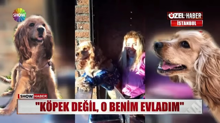 Köpek değil o benim evladım!