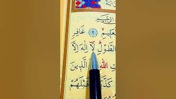 سورة غافر الأية 1 إلى 4 القارئ سعد الغامدي