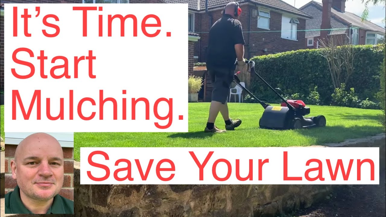 It’s Time To Start Mulching Your Lawn. YouTube