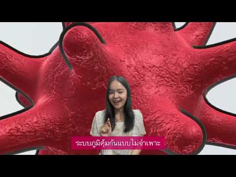 ระบบภูมิคุ้มกัน Immune system : ระบบภูมิคุ้มกันแบบไม่จำเพาะ